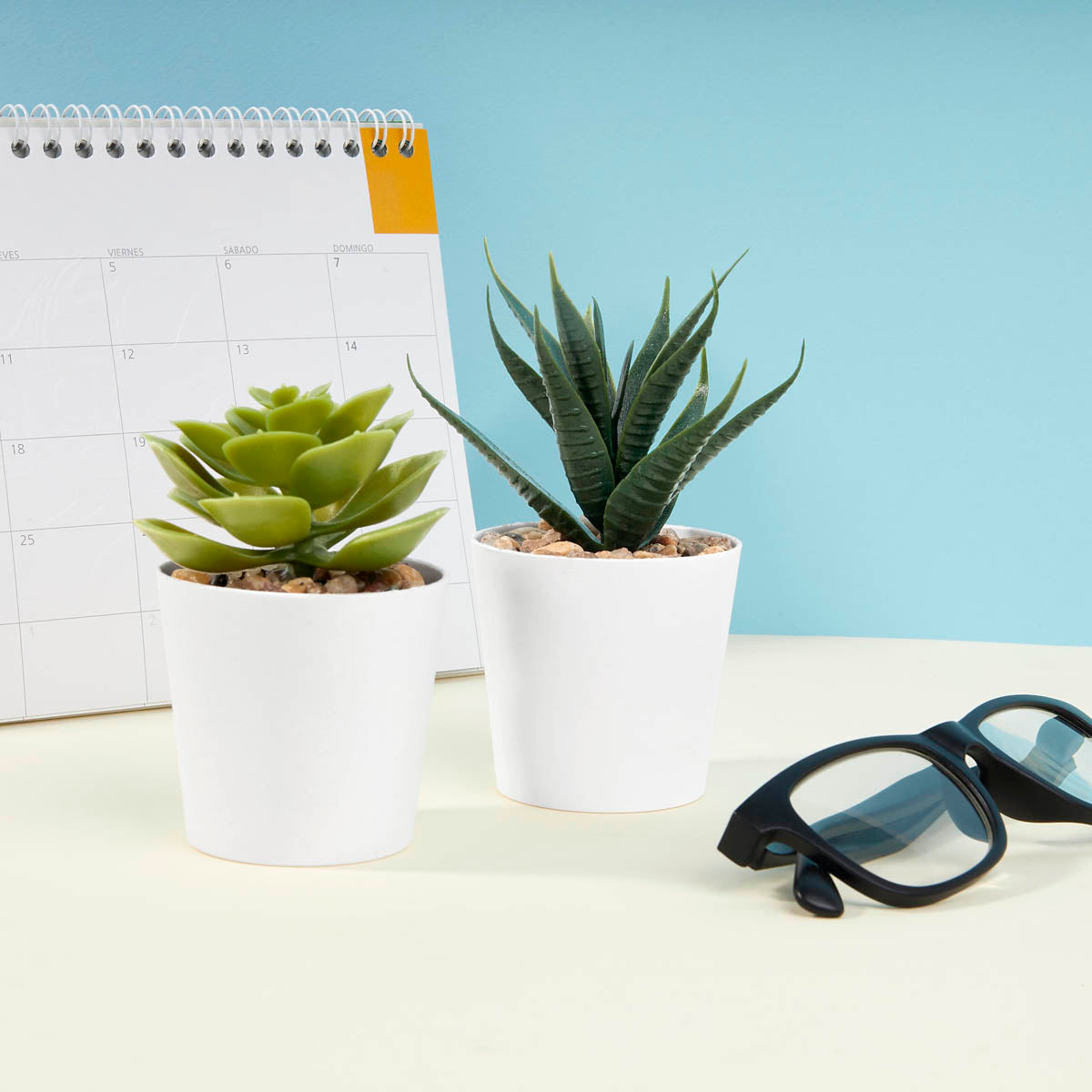 SET DE PLANTAS ALISO