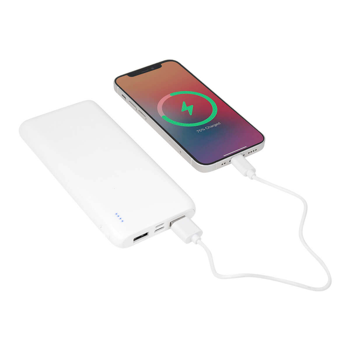POWER BANK ULSAN
