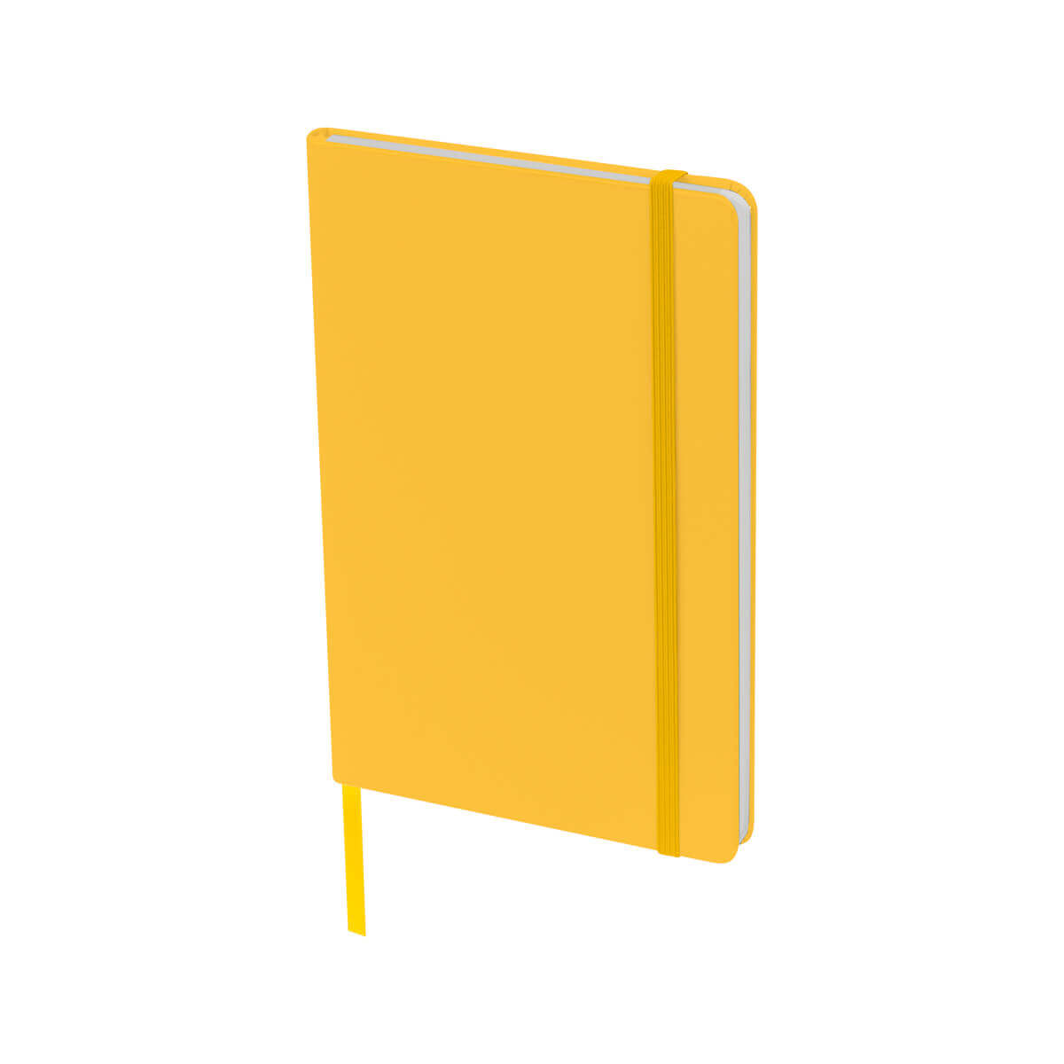 LIBRETA BAIONA