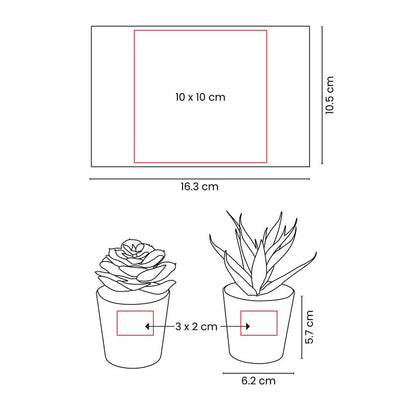 SET DE PLANTAS ALISO