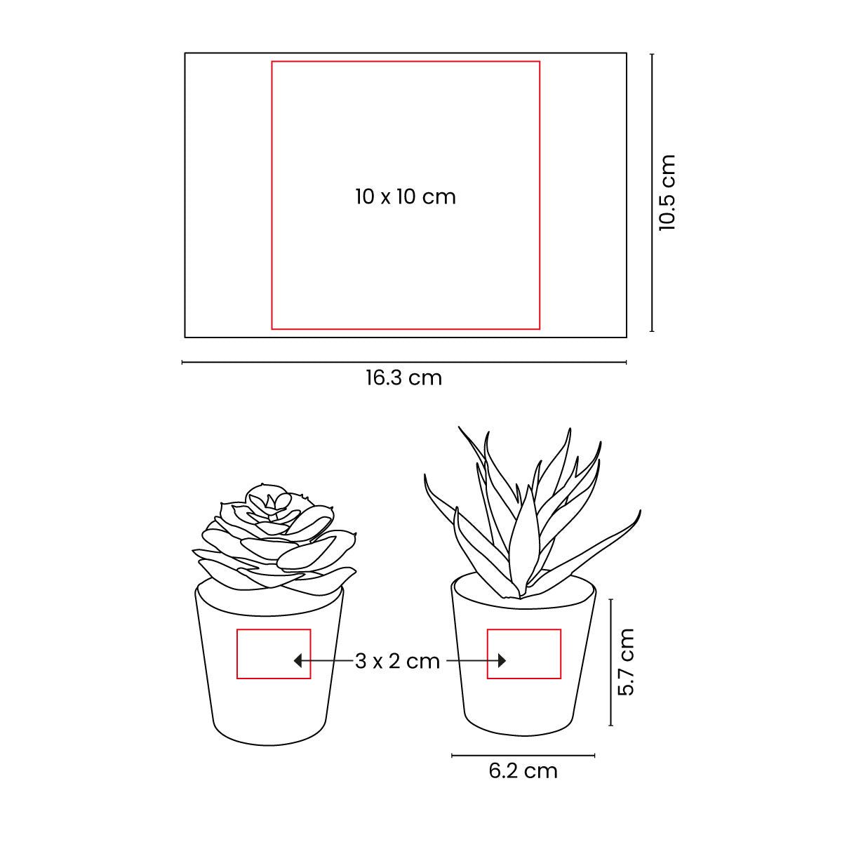 SET DE PLANTAS ALISO