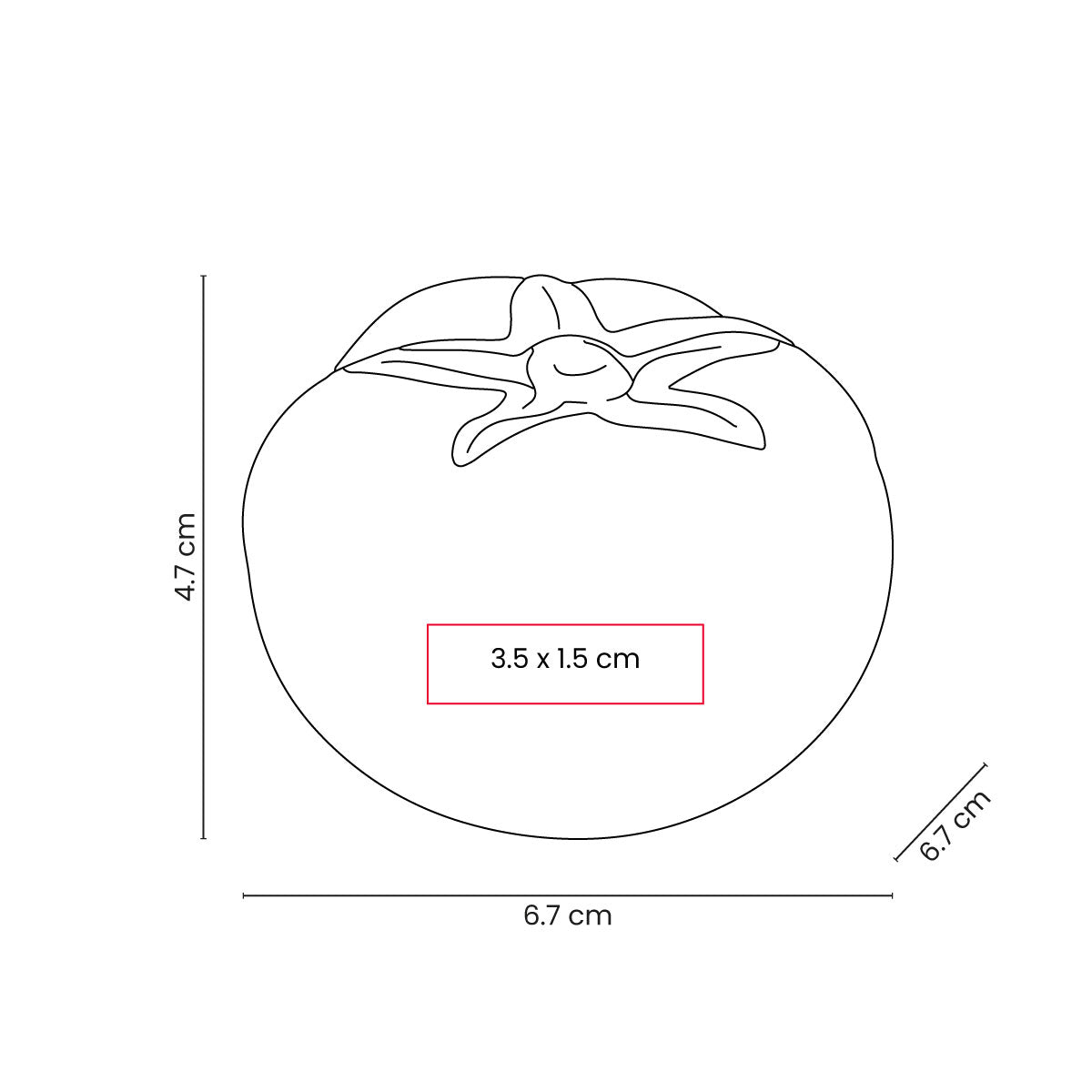 ANTI-STRESS TOMATE