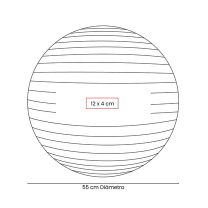 PELOTA DE PILATES WELLNESS