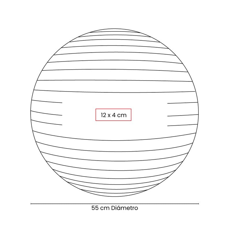 PELOTA DE PILATES WELLNESS