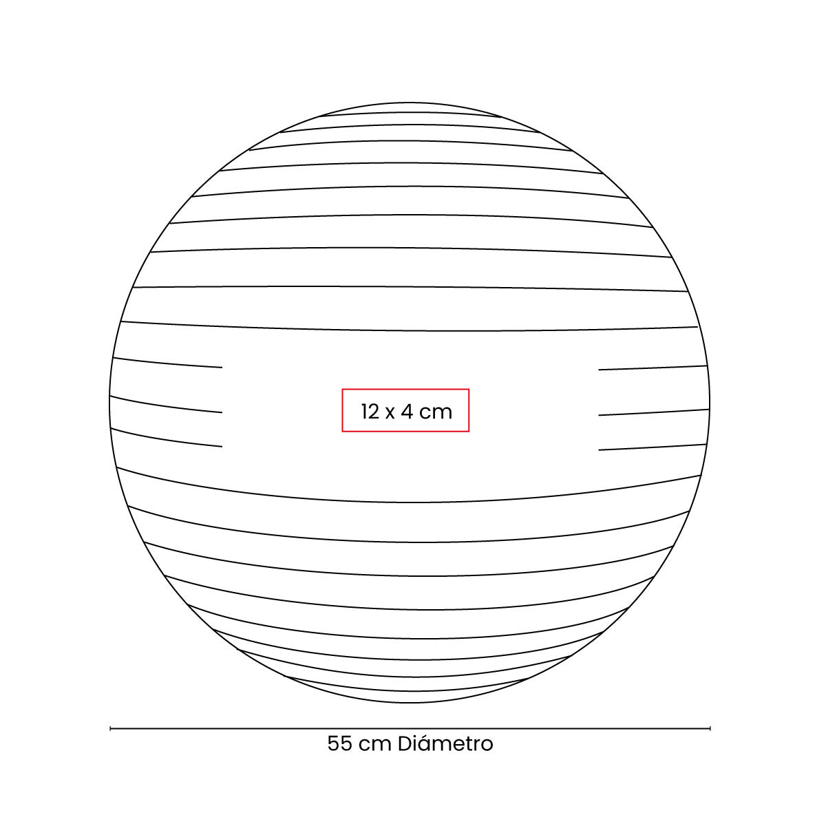 PELOTA DE PILATES WELLNESS