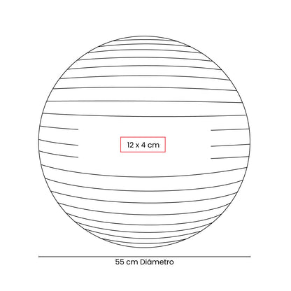 PELOTA DE PILATES WELLNESS